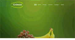 Desktop Screenshot of grimsta.com